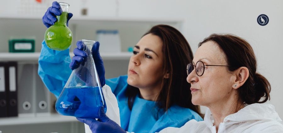 International Day of Women and Girls in Science 2026: Transforming Vision into Impact